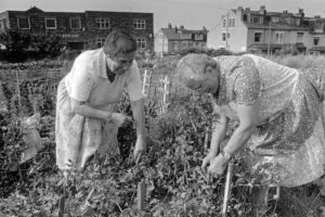 photo archive sisters gardening