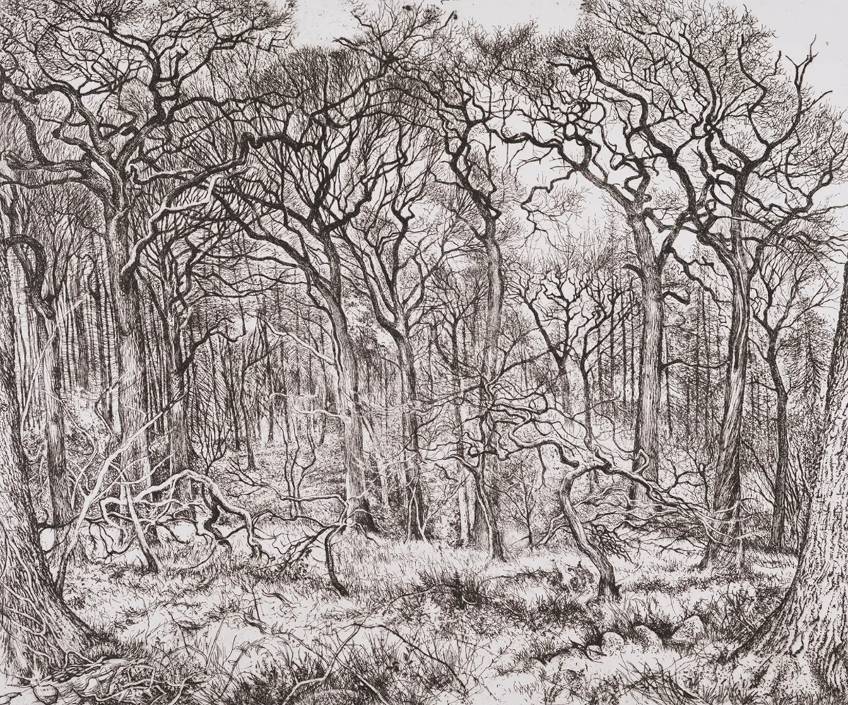 Black and white etching of woodland. The trees are bare of foliage and in the foreground, there is a fallen trunk