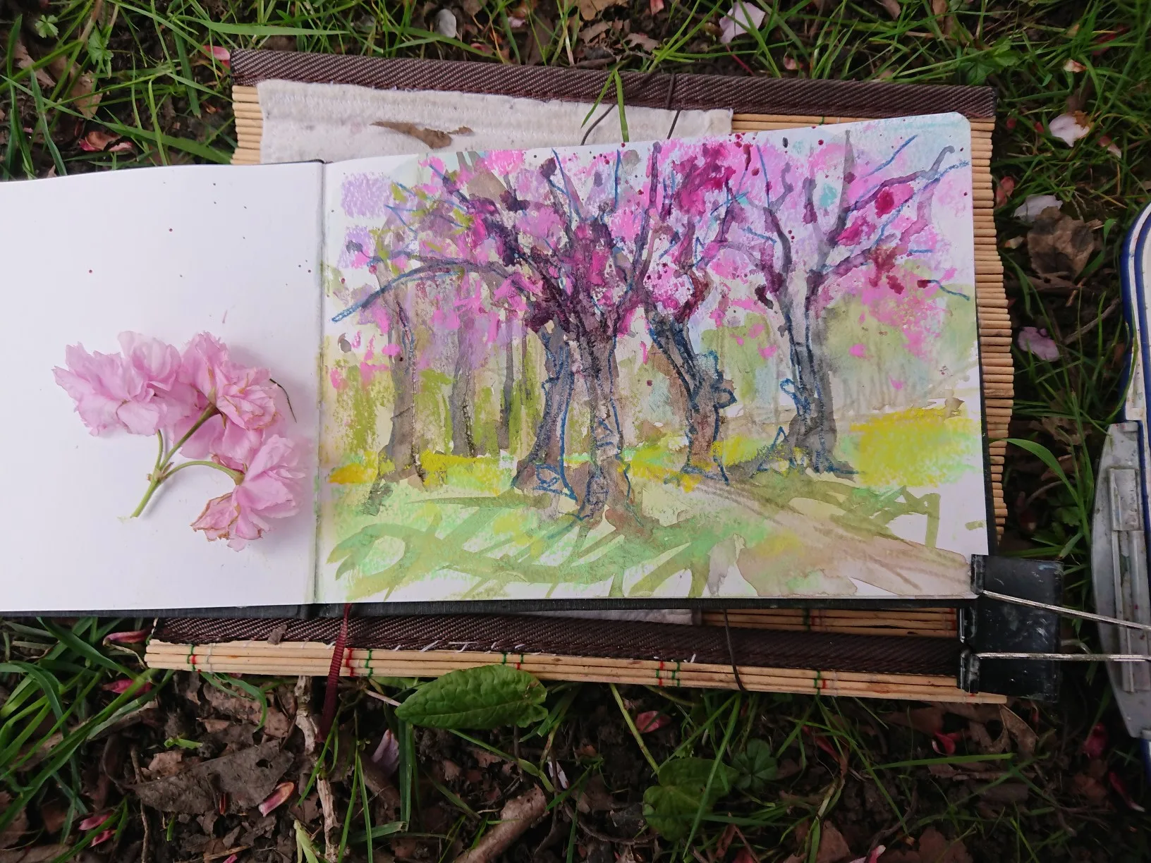 Image of a sketch booking depicting cherry trees in blossom, painted with watercolours