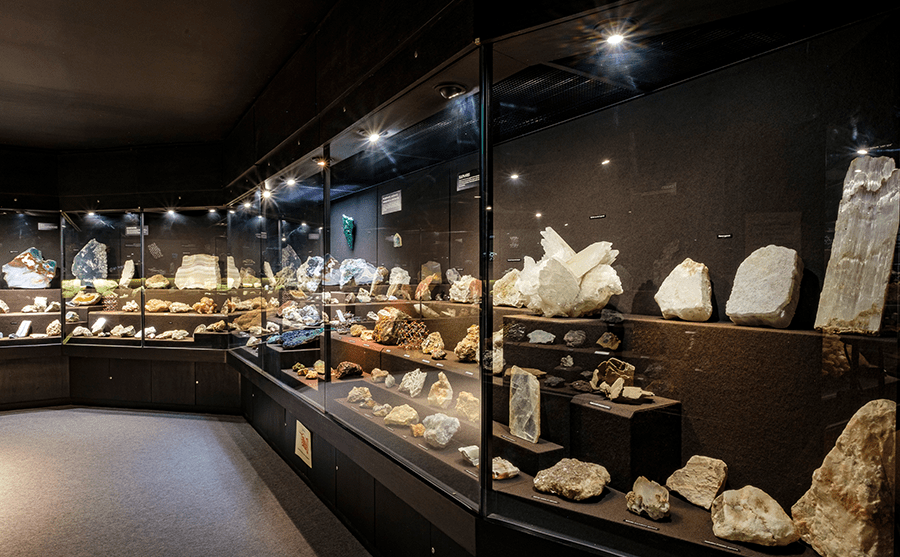 Rocks and Fossils at Cliffe Castle Museum