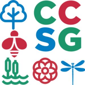 CCSG Logo
