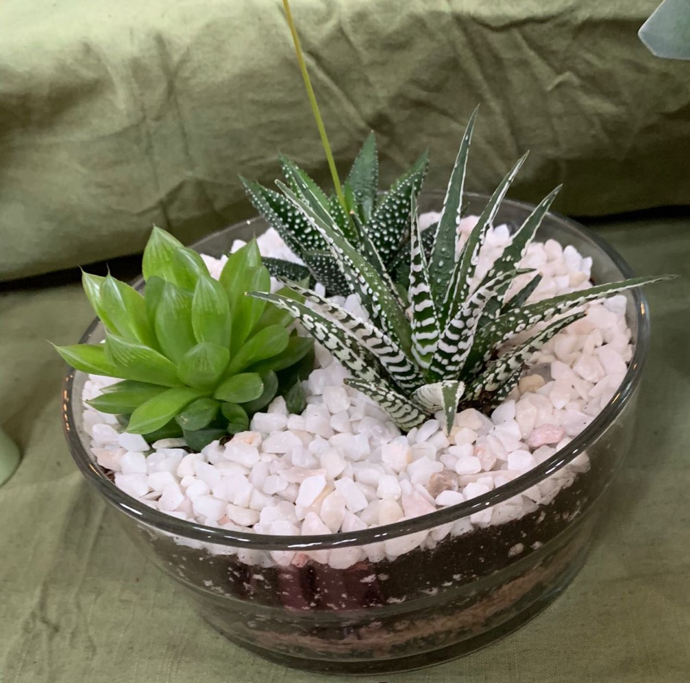 A glass bowl with succulents planted up in it surrounded by white gravel