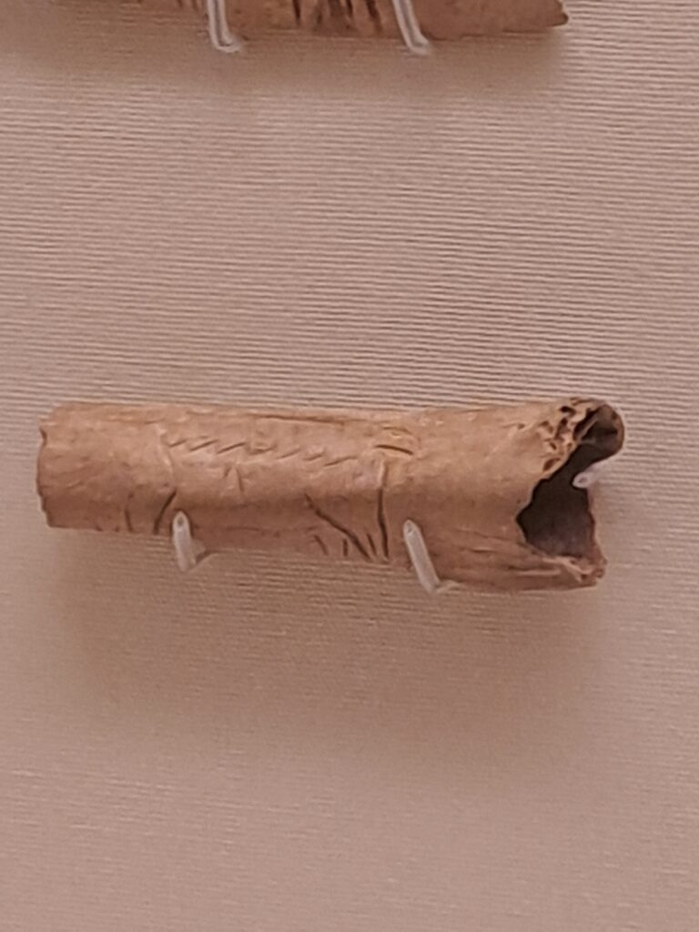 close up of a carved swan bone