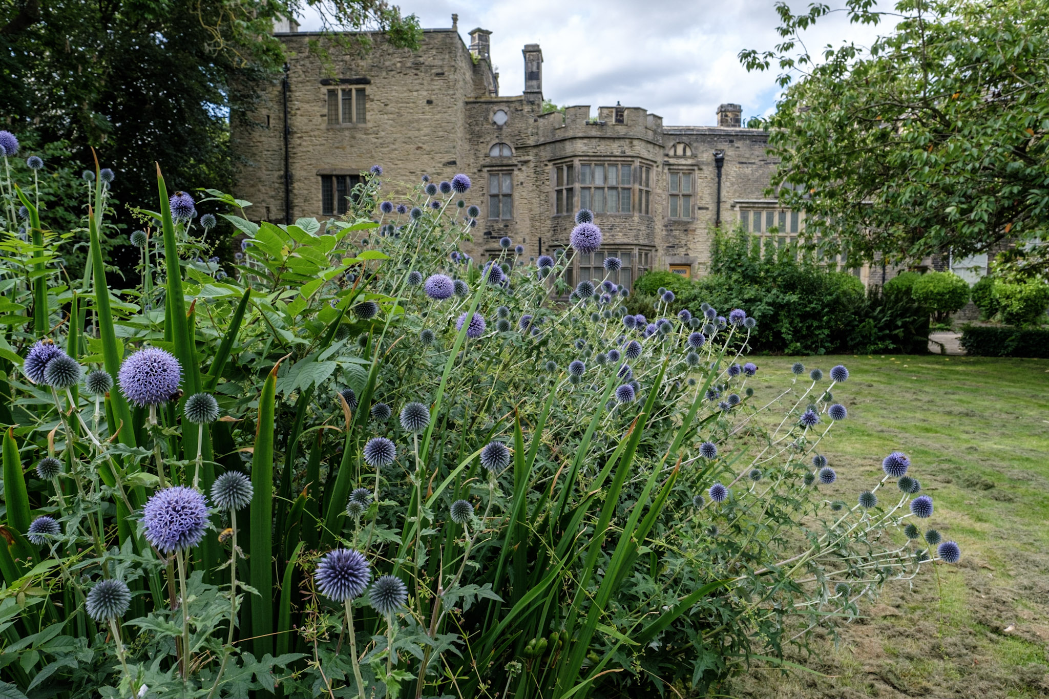 A view of Bolling Hall from the grounds