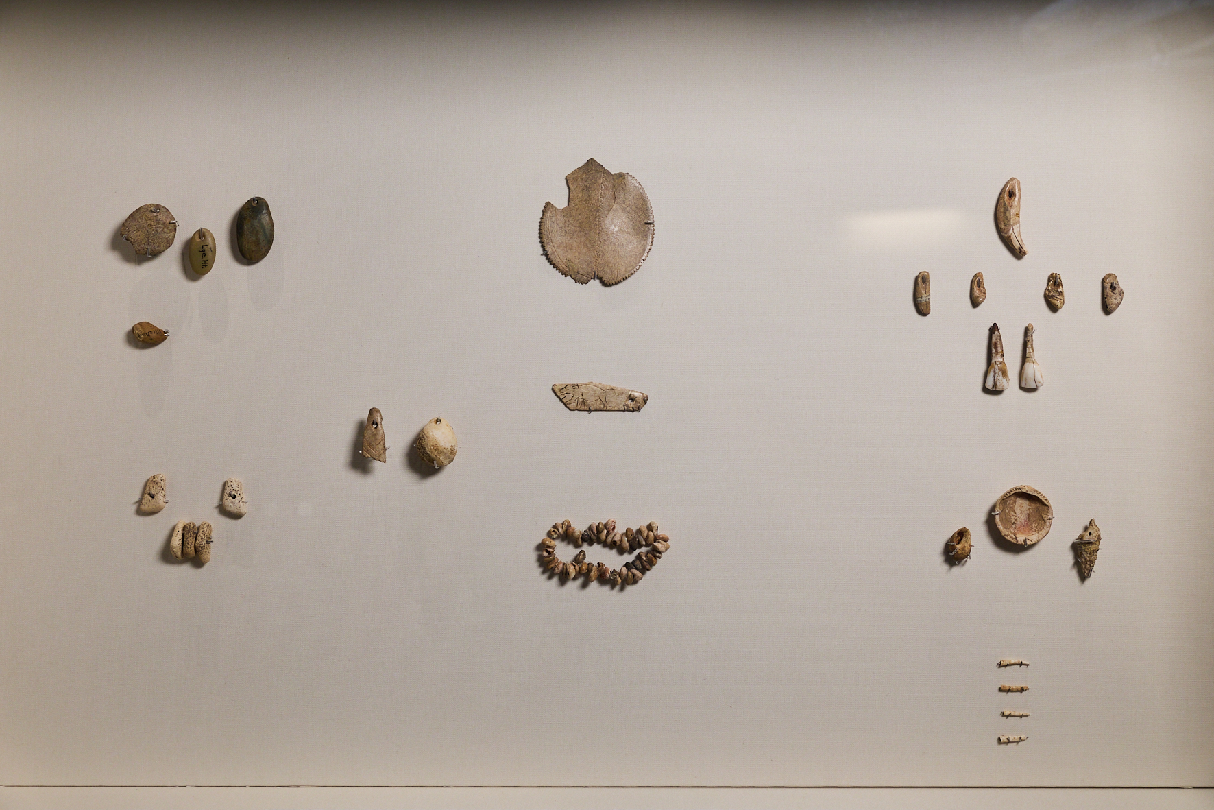 Ice age jewellery in a case