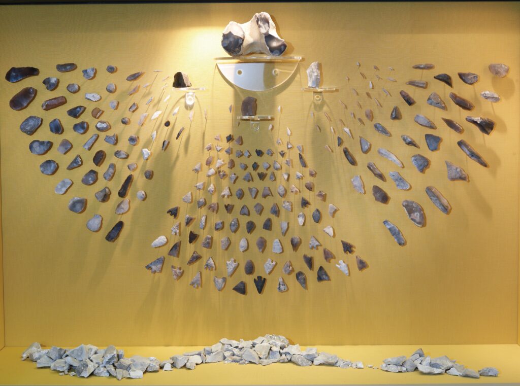 a view of a mass of stone arrowheads, arrayed in a semicircular grouping within a case