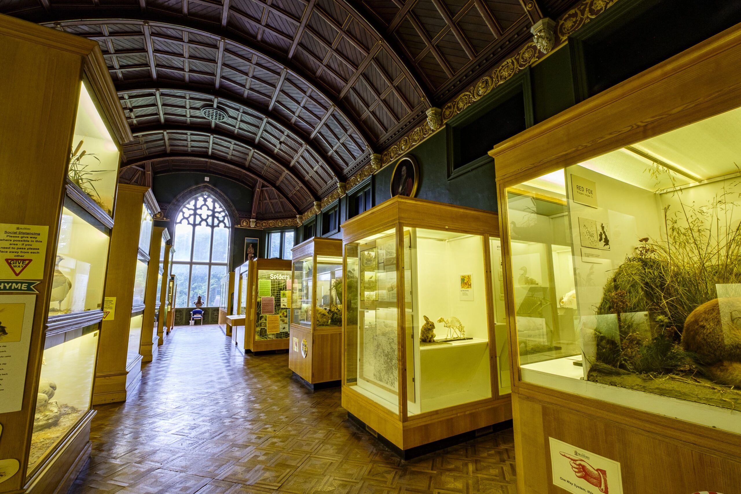 wide angle photo of CLiffe Castle Ballroom with Natural Science taxidermy specimen
