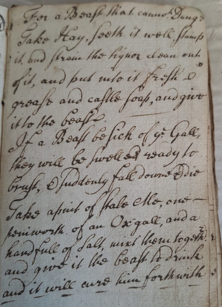 Handwritten veterinary remedies for cattle, treating digestive issues and gall-related illness.