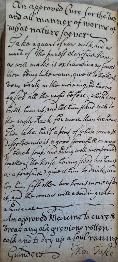 Handwritten treatments for worms, rotten colds, and glanders in horses.