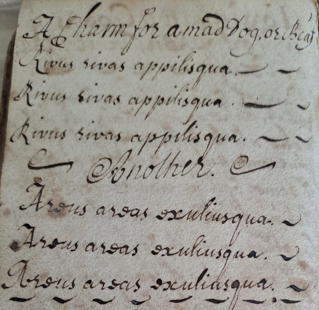 Handwritten incantations for treating madness in dogs or beasts using repeated mystical phrases.