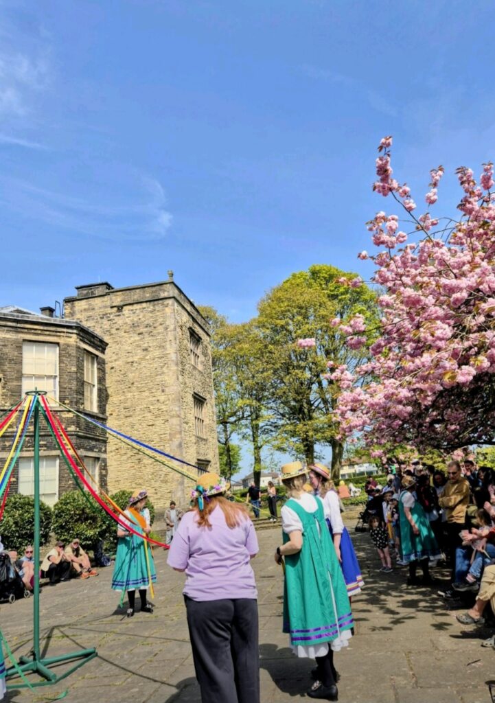 Maypole dance under blooming cherry trees