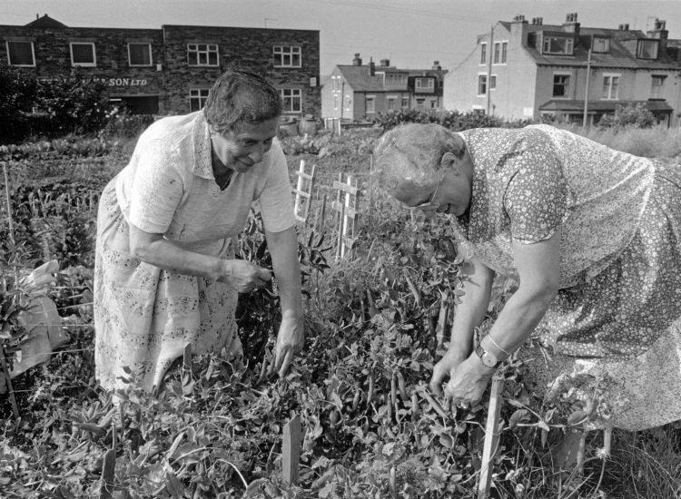 photo archive sisters gardening